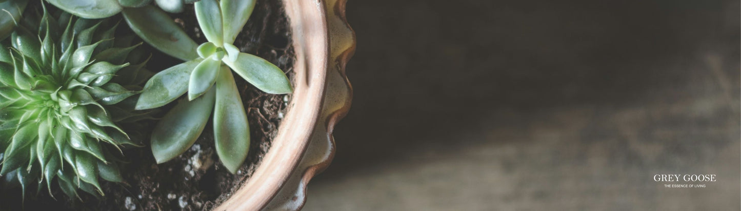 Succulent Bar Mat