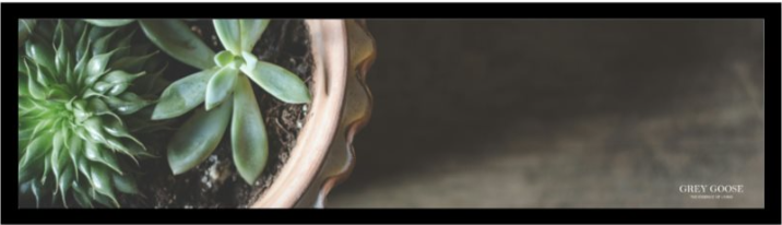 Succulent Bar Mat