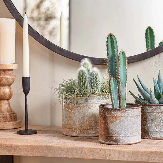 Spruce Up Your Space: The Perfect Pots & Vases for Every Plant!