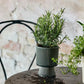 Ribbed Dark Grey Plant Pot 14cm
