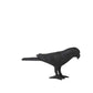 Matt Black Bird Ornament